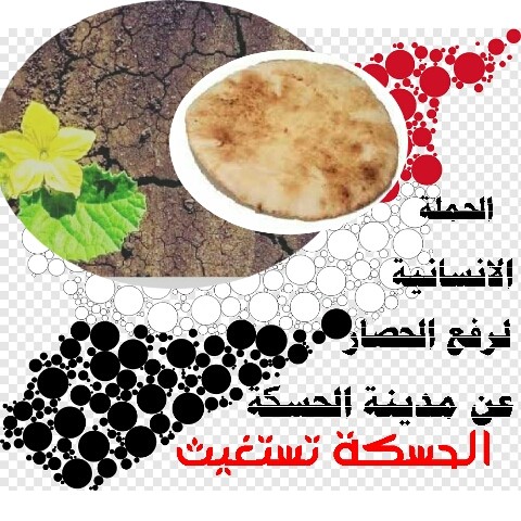 بيان الحملة الإنسانية الدولية لرفع الحصار التام عن مدينة الحسكة المنكوبة