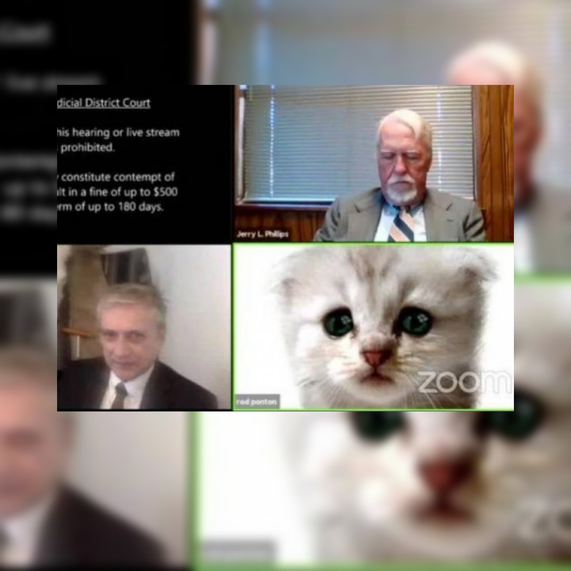 شاهد طرائف السوشال ميديا فيديو أنا لست قطة وفيديو الصورة المقلوبة لنائب جمهوري في الكونغرس