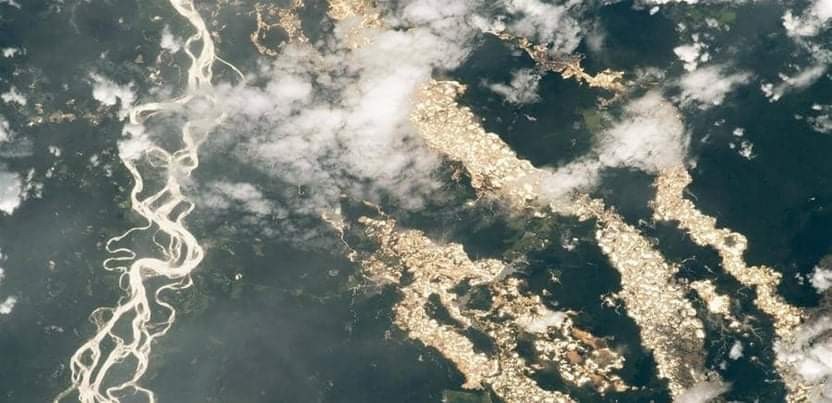 أنهار من الذهب في الأمازون..هذا ماكشفته ناسا