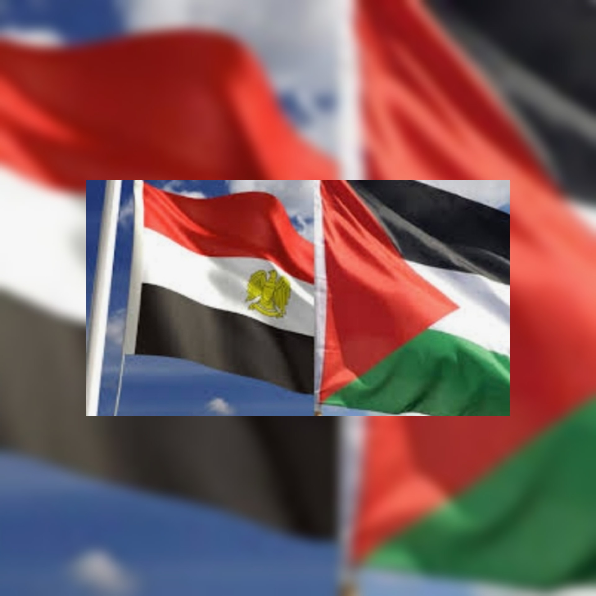 المصالحة الفلسطينية برعاية مصرية وآخر التطورات