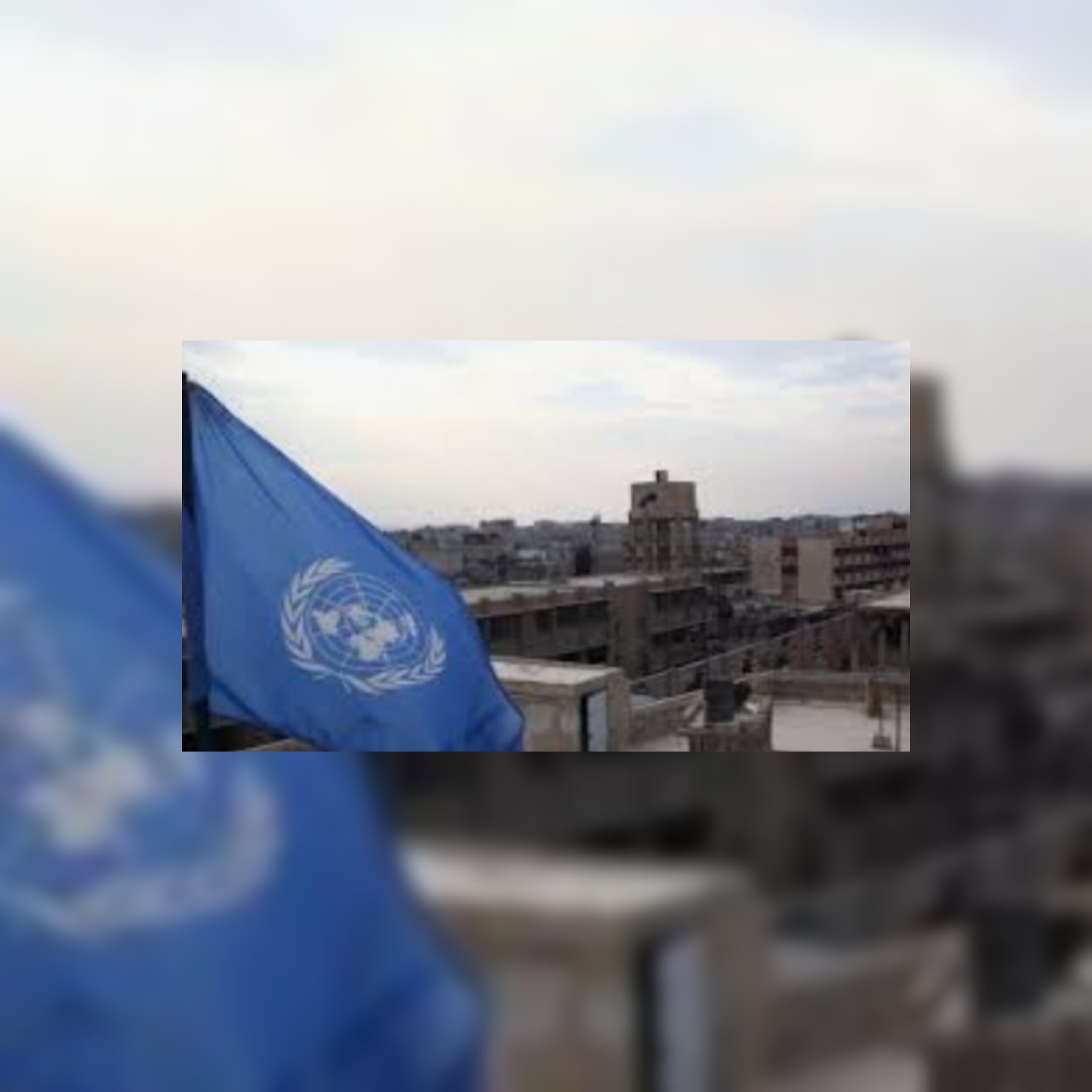 تقرير الأمم المتحدة: 12 مليون سوري يعانون انعدام الأمن الغذائي