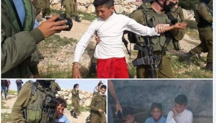 بالفيديو إعتقال أطفال فلسطينيين والتهمة التقاطهم نبته العكوب ونبذة عن نبتة العكوب.