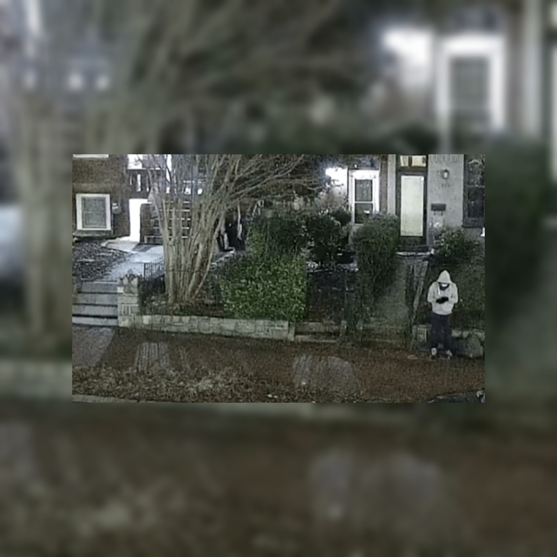 شاهد فيديو نشره 