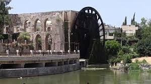 جريمة مروعة تهز مدينة سورية.. ابن يقتل أمه نحراً بالسكين