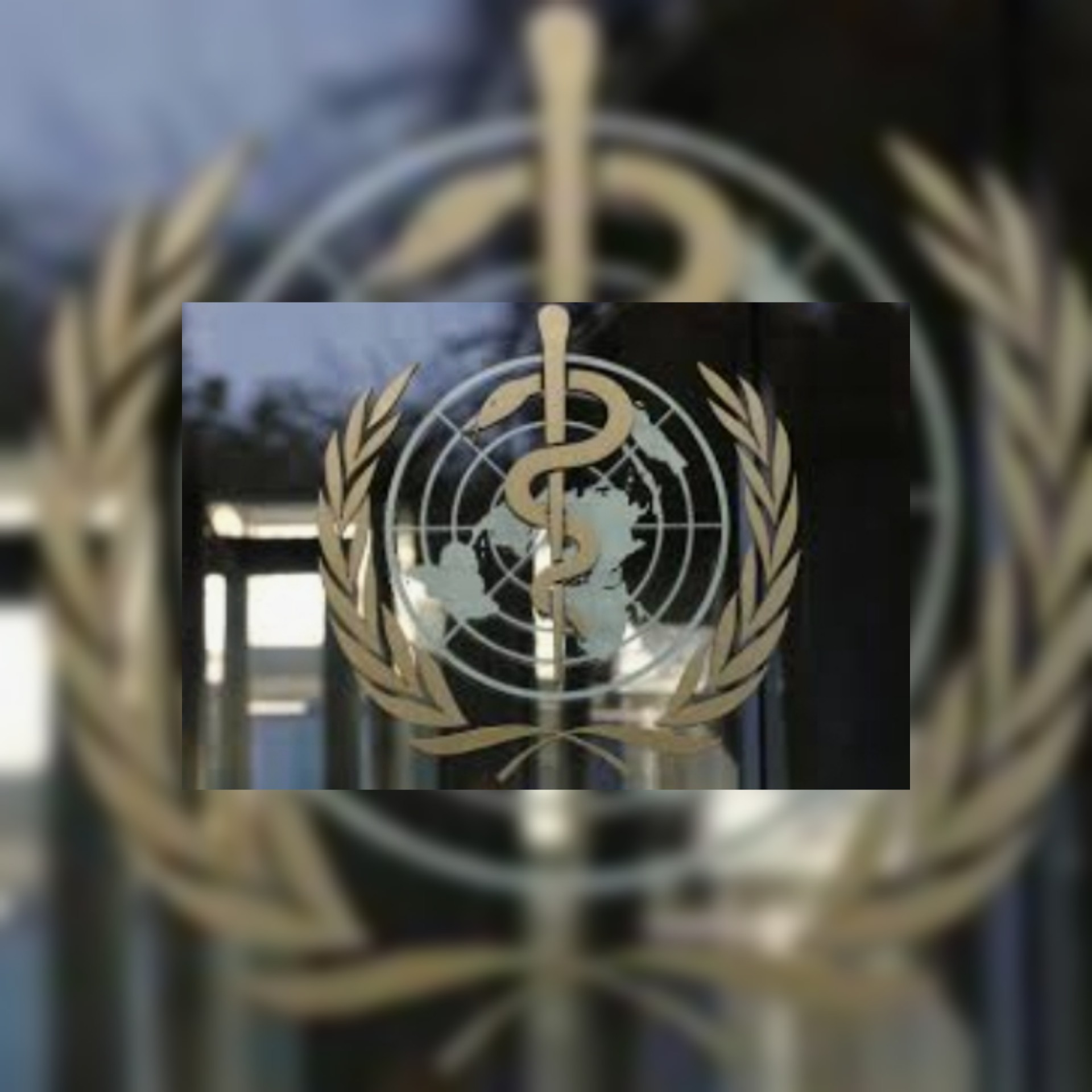 منظمة الصحة العالمية : السيطرة على كورونا خلال شهور بشرط التوزيع العادل للقاحات