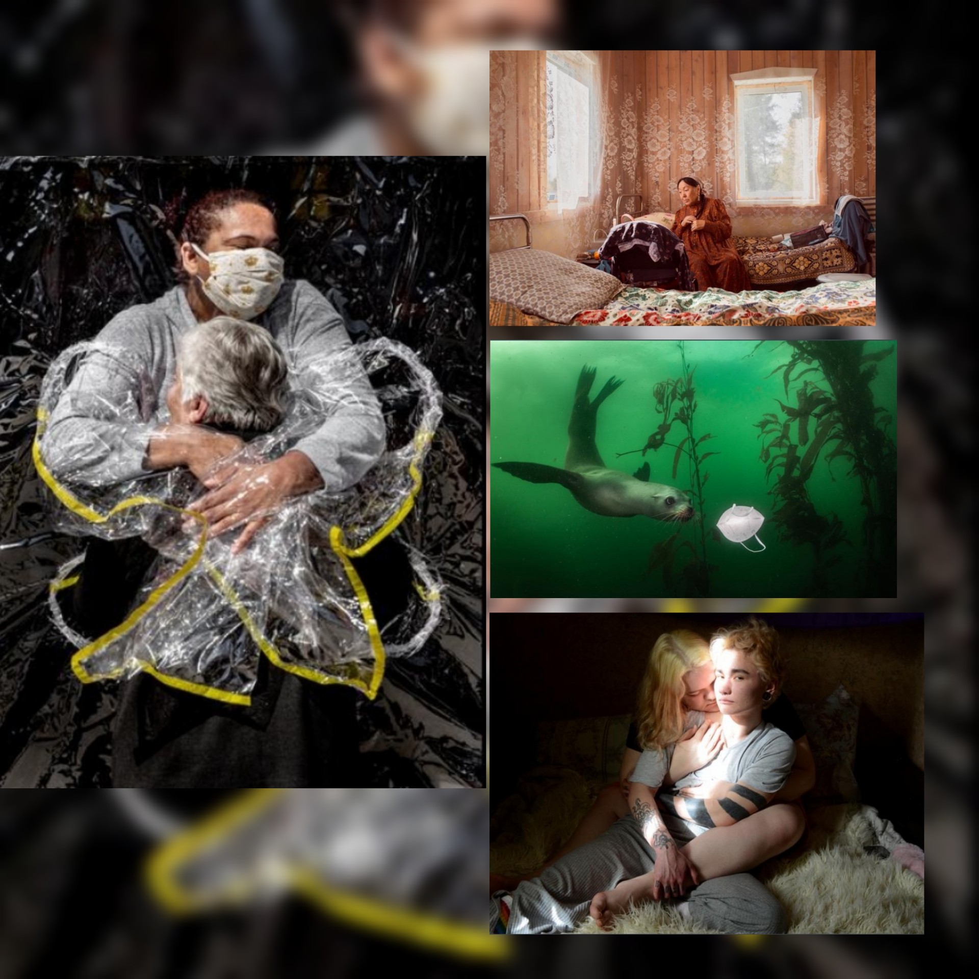 شاهد أفضل الصور العالمية لعام 2021 بحسب مؤسسة الصحافة العالمية