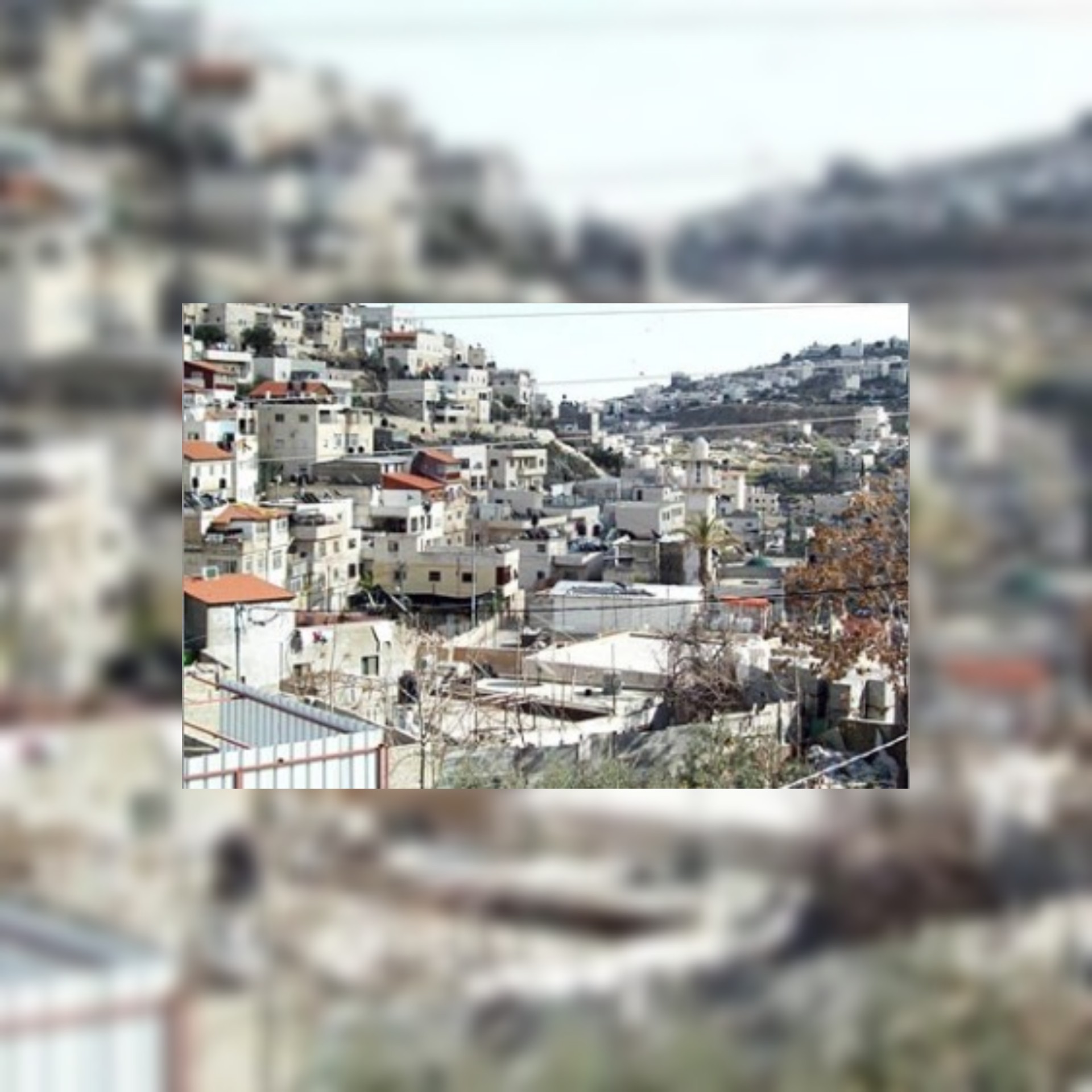 فلسطين المحتلة : تفاصيل الخونة  مسربي العقارات في سلوان ....بالوثائق والأسماء