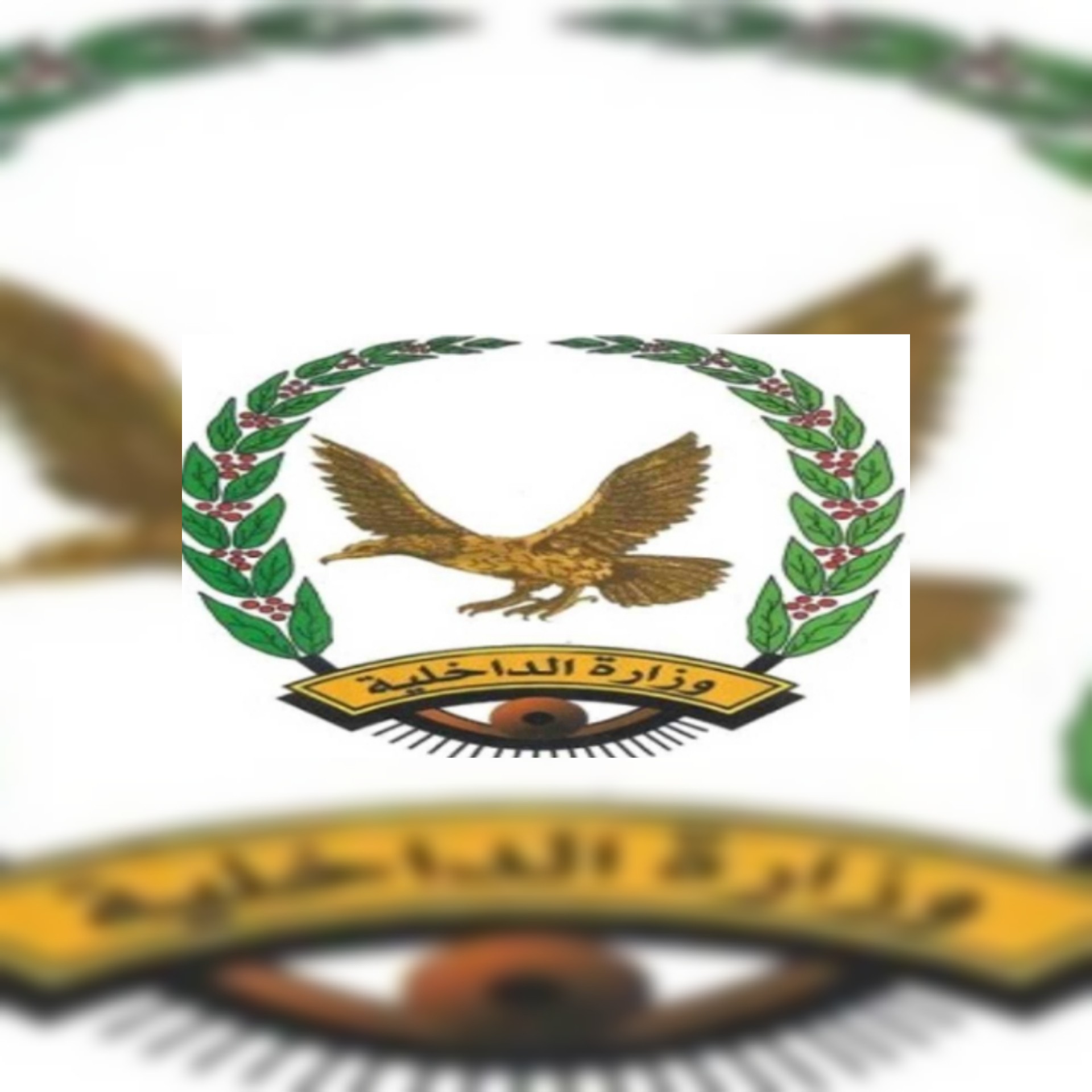 وزارة الداخلية اليمنية تكشف تفاصيل نشاط تنظيم القاعدة في مارب