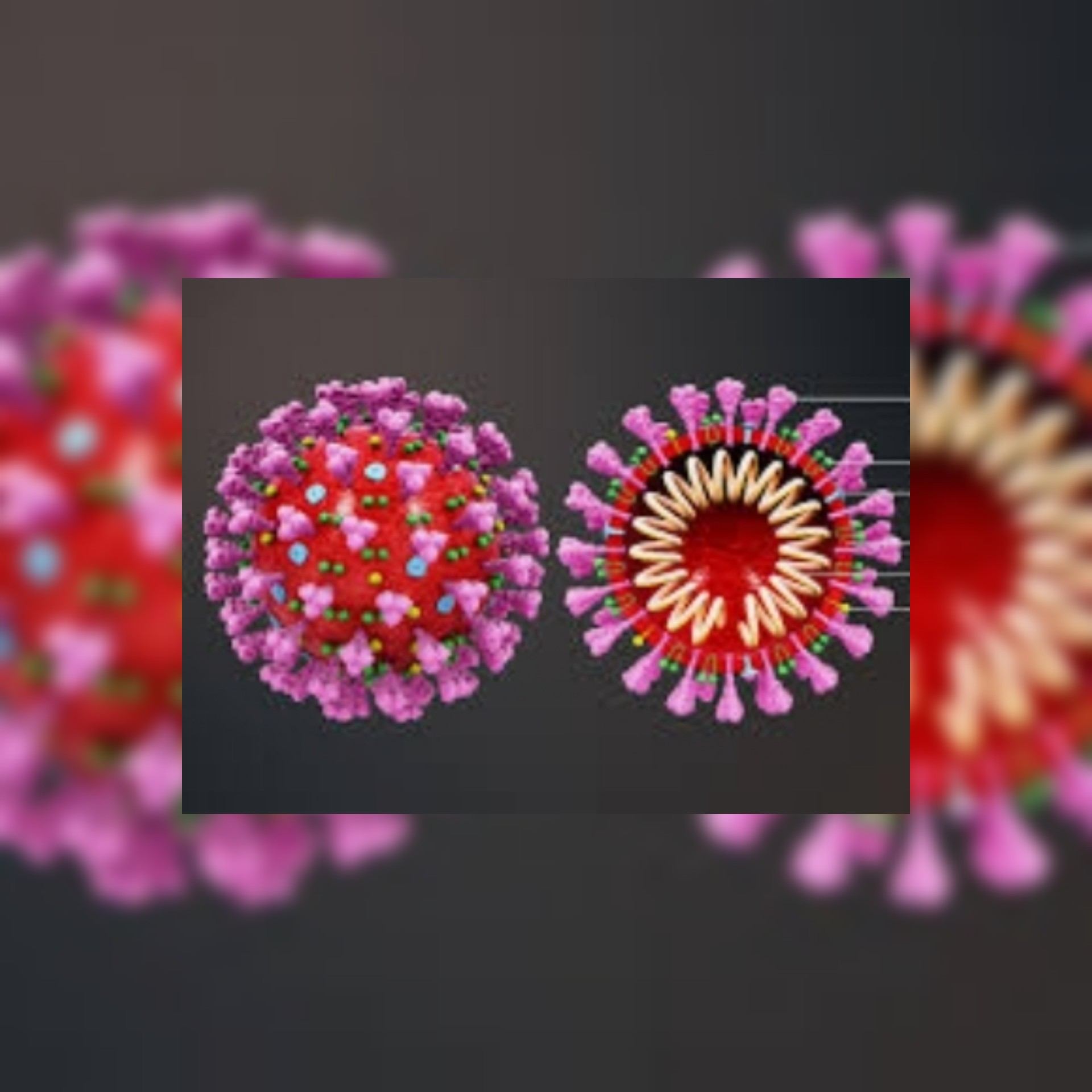 الخارجية الصينية: الولايات المتحدة ودول أخرى هي التي سيست تتبع منشأ كوفيد-19