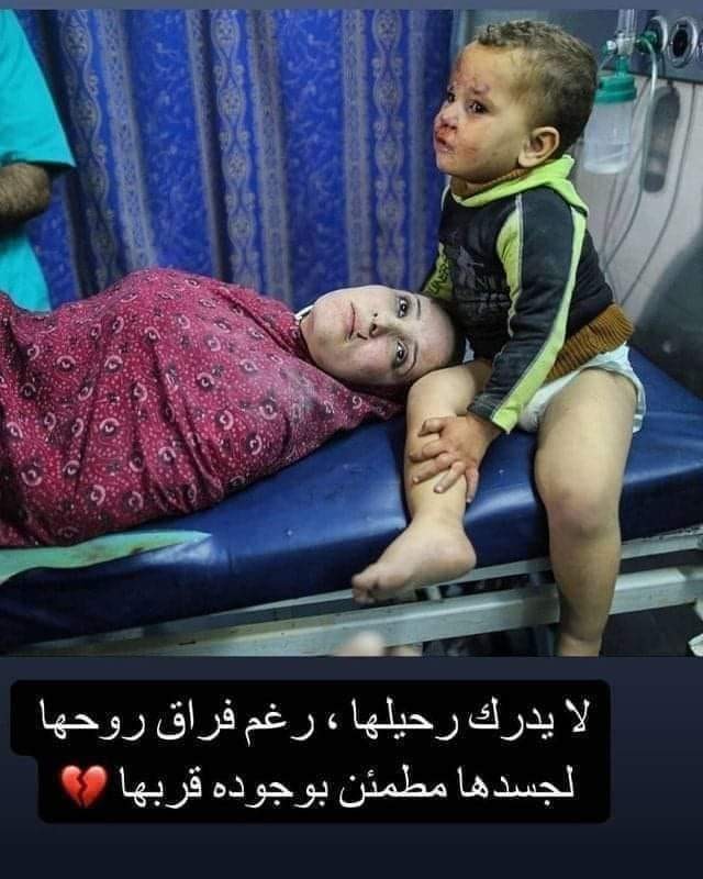 من وحي المعاناة في قطاع غزة.....كتب علاء عيد / أنا لم أمت يا صغيري