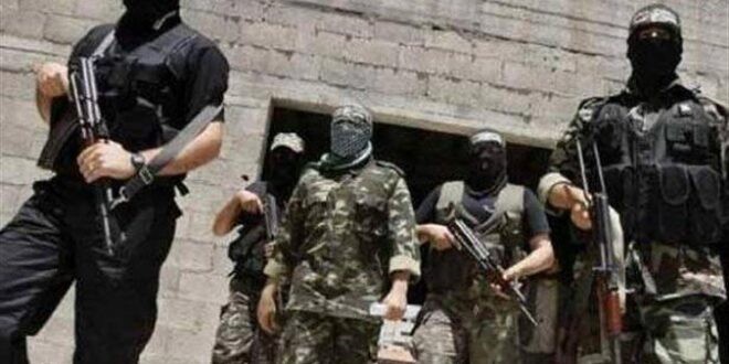 تركيا تخفّض رواتب ميليشياتها بذريعة توقف مهامهم القتالية