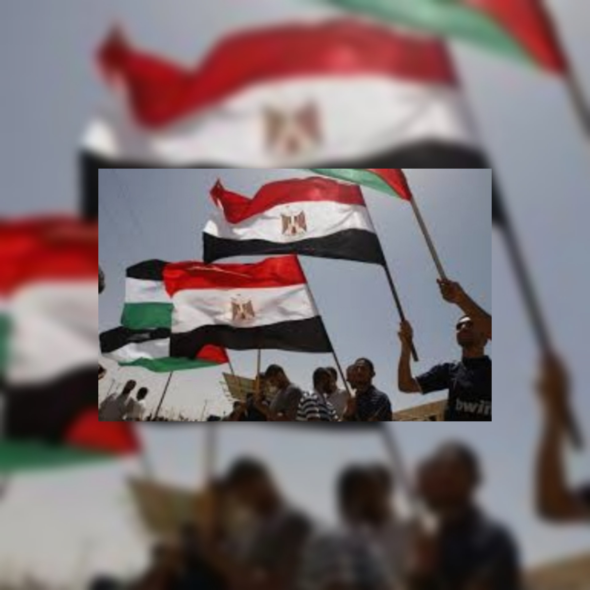 بحسب شينخوا الصينية :  أسباب نجاح الوساطة المصرية في وقف الحرب بين 