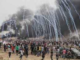 رسالة من كاتب فلسطيني بذكرى محرقة الهولوكوست