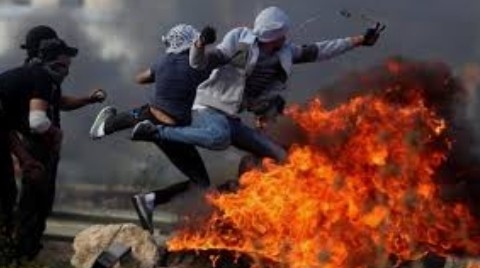 بالفيديو /أهم التطورات في فلسطين المحتلة 