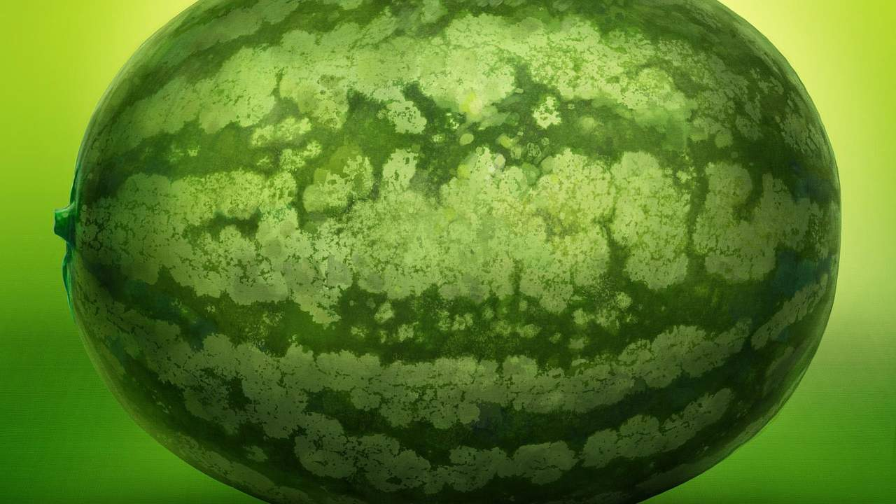 أنواع البطيخ.. العلماء يكشفون أصول وتاريخ البطيخ