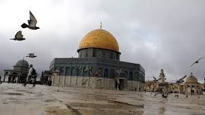 بالفيديو: هذا ما قالته فلسطينية من نابلس أثناء مشيها سعيا للوصول إلى الأقصى