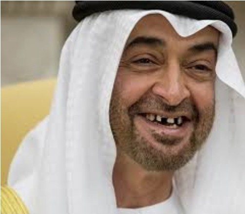 الإمارات تشارك الصهاينة حربهم على فلسطين  بطريقتها الخاصة..