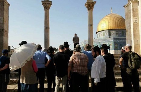 انكسار جديد...الكيان يرضخ ويلغي