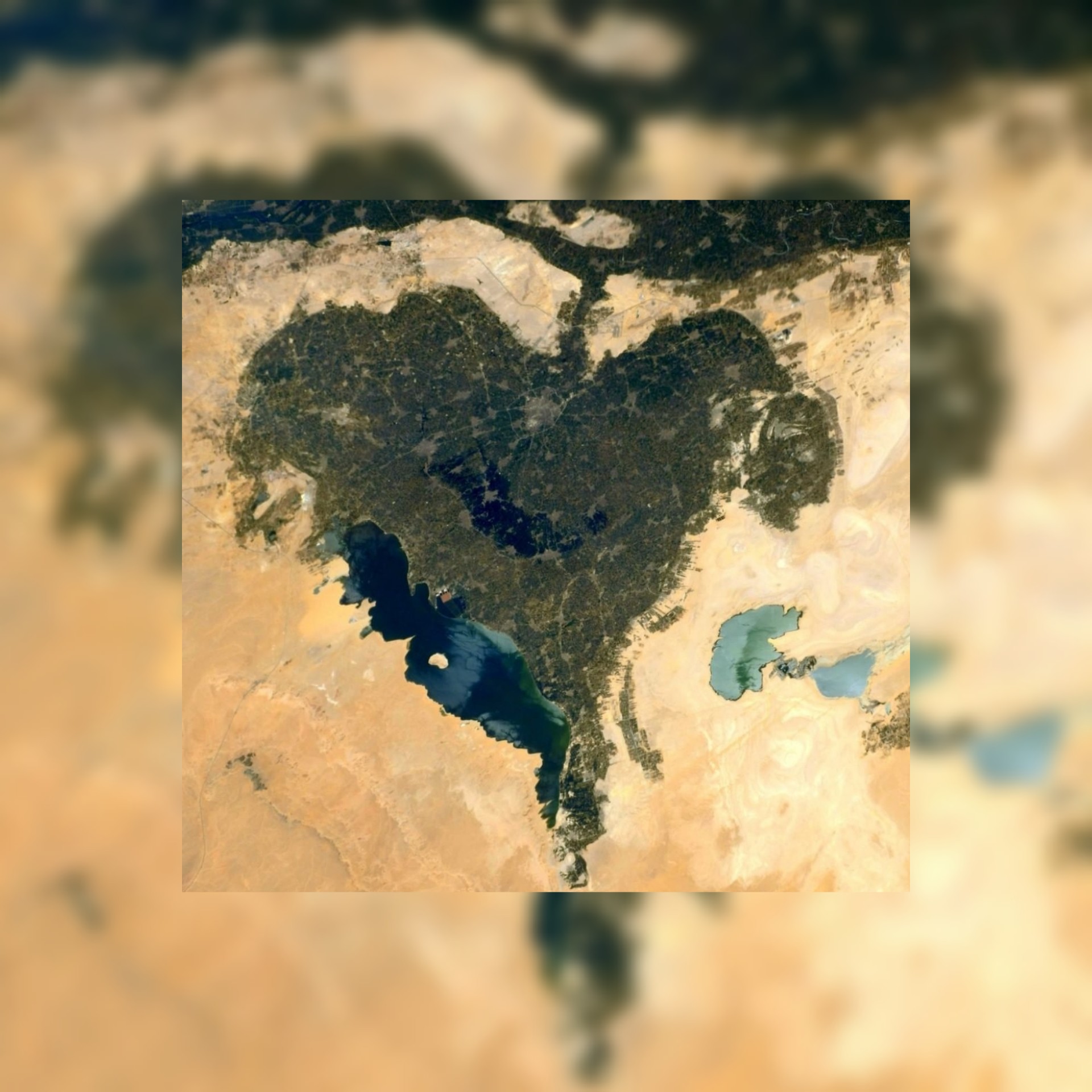 بالصور / رائد فضاء ينشر صورة لمحافظة الفيوم بمصر على شكل قلب.. ويهديها لوالدته