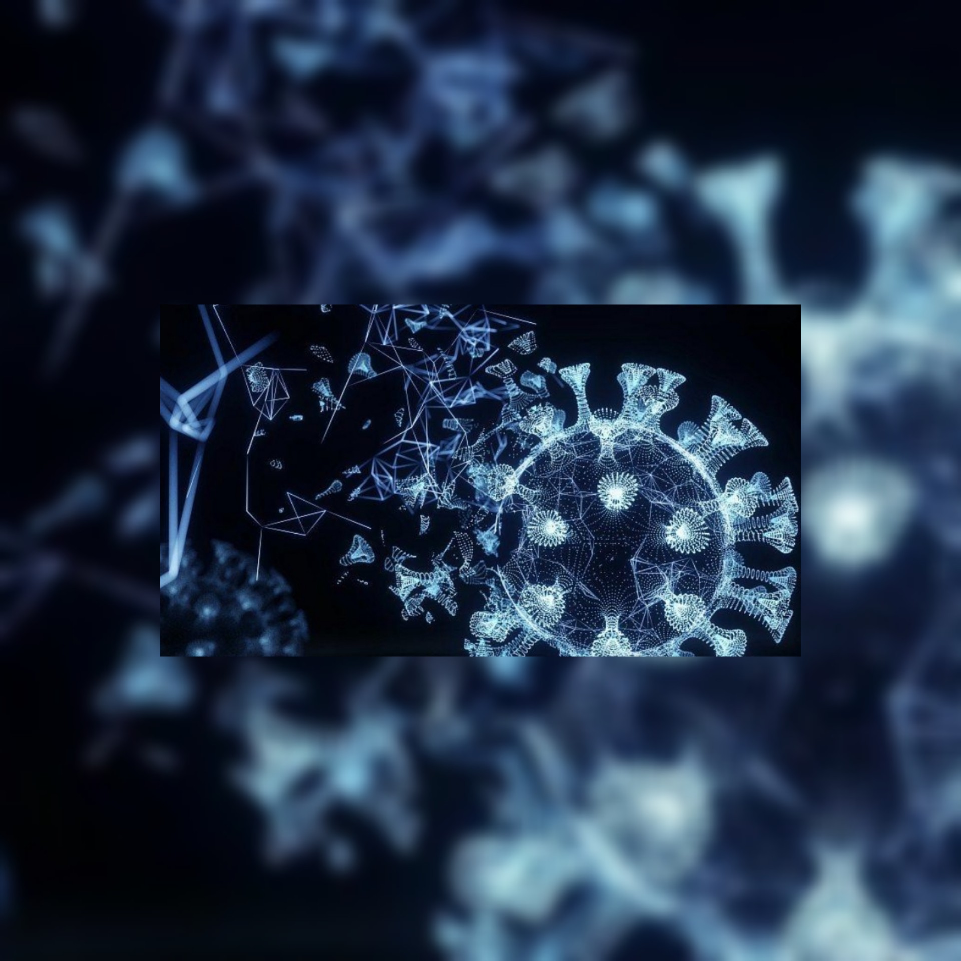 إعلام ياباني: يتعين وقف تسييس تتبع منشأ فيروس كورونا