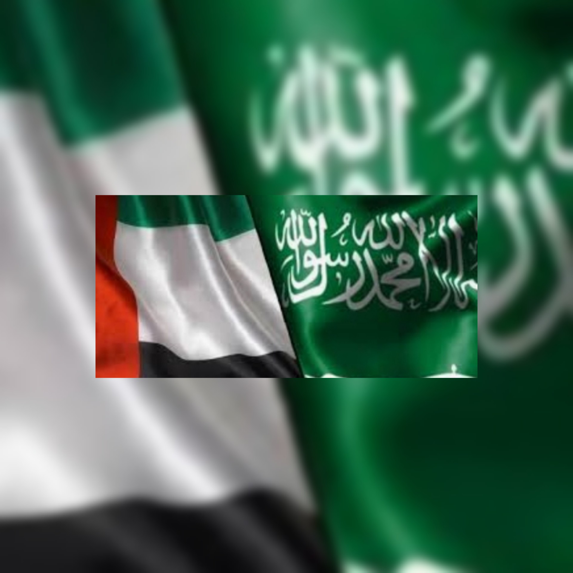 رويترز : روسيا تتوسط للتقريب بين السعودية والإمارات