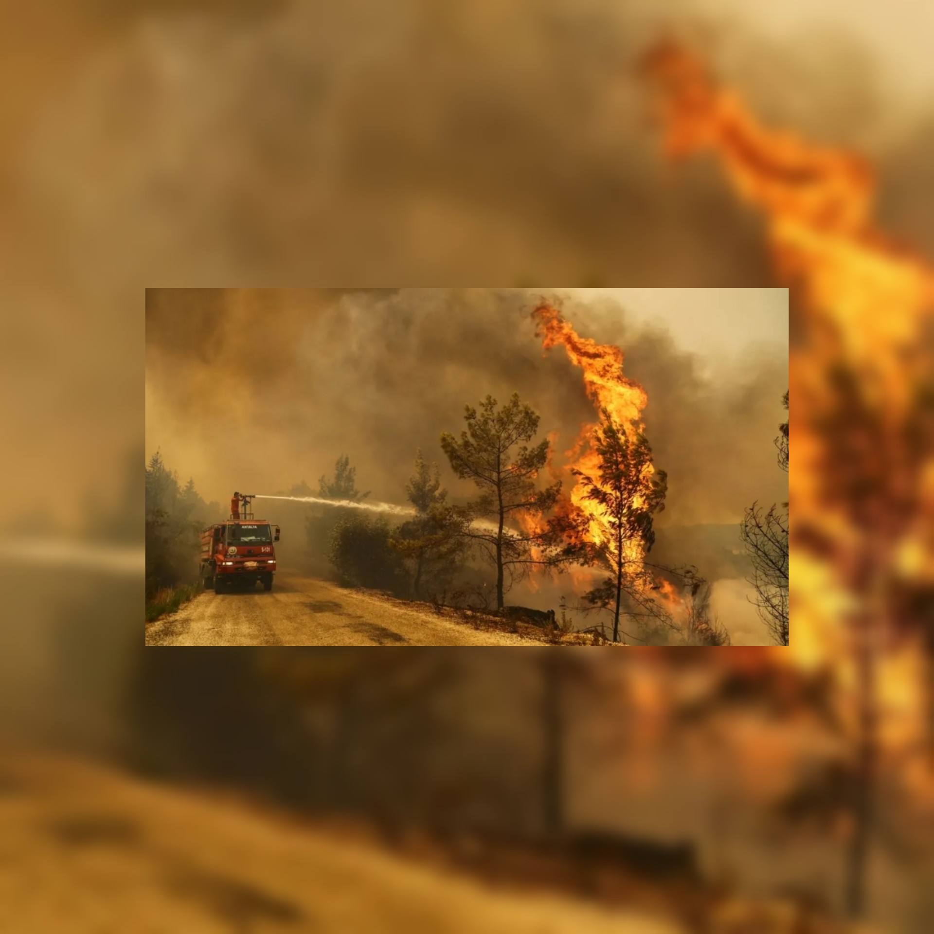 بالصور تركيا : حريق هائل يقترب من محطة حرارية في تركيا وانتقادات لأردوغان