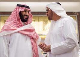 فضيحة بيغاسوس مستمرة: كيف تنصّت بن زايد على بن سلمان؟