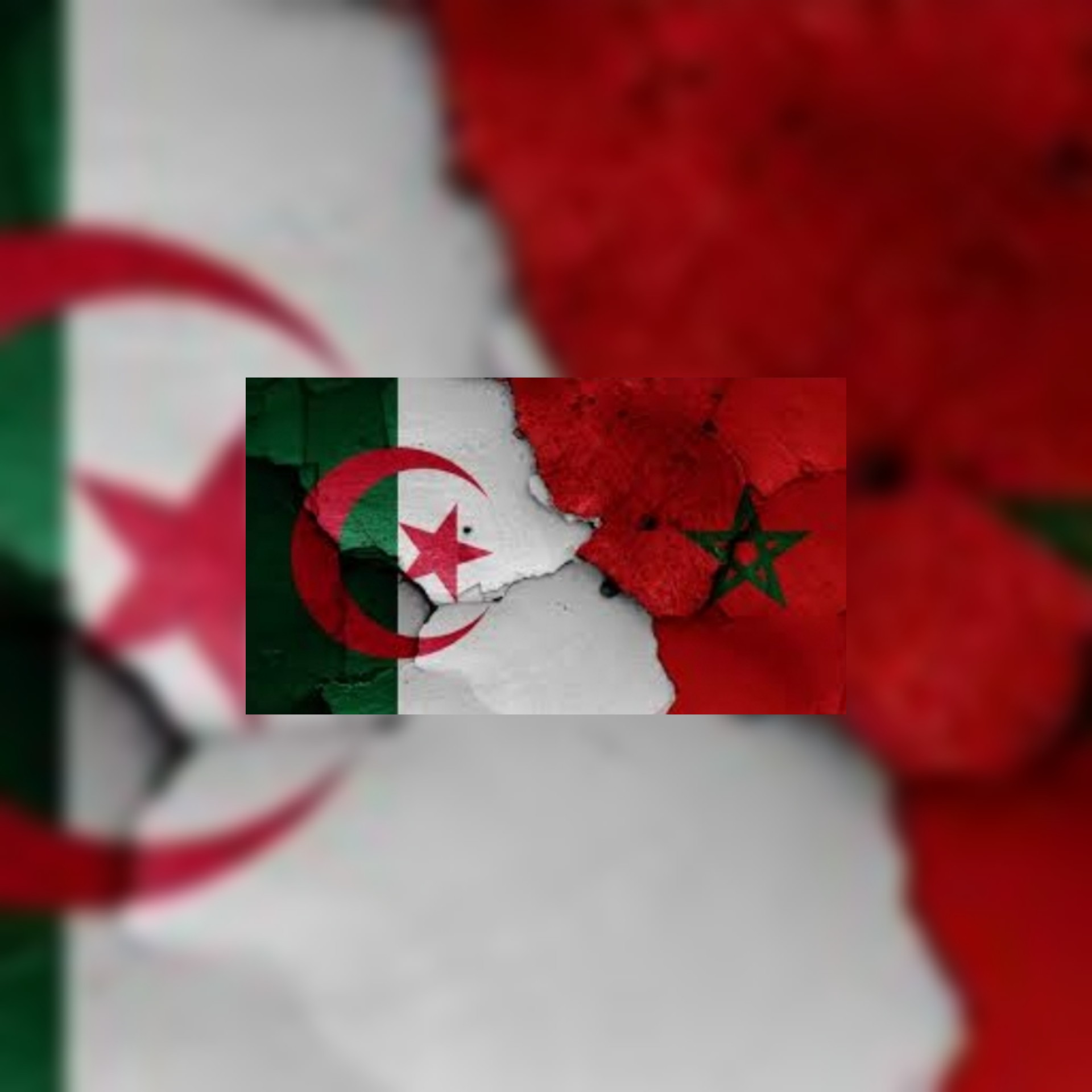 بيان رسمي : الجزائر تغلق مجالها الجوي أمام الطائرات المغربية