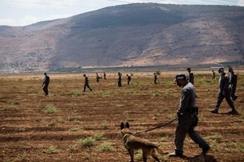 الاحتلال يستنفر بحثاً عن الأسرى المحررين...ويشن حملة إعتقالات استهدفت أقاربهم