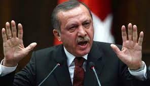 اردوغان: سفراء 10دول غير مرغوب بهم في تركيا