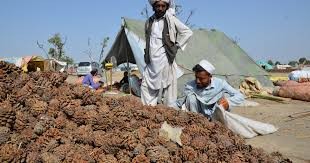 الاولى من نوعها منذ سيطرتها على أفغانستان...صفقة تجارية بين أفغانستان والصين فماذا شملت