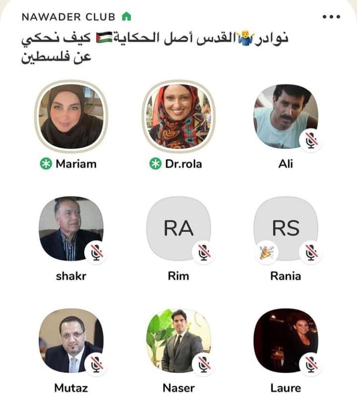 ملخص الندوة الافتراضية بعنوان كيف نحكي عن فلسطين؟